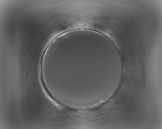 X0000052921383200508050752