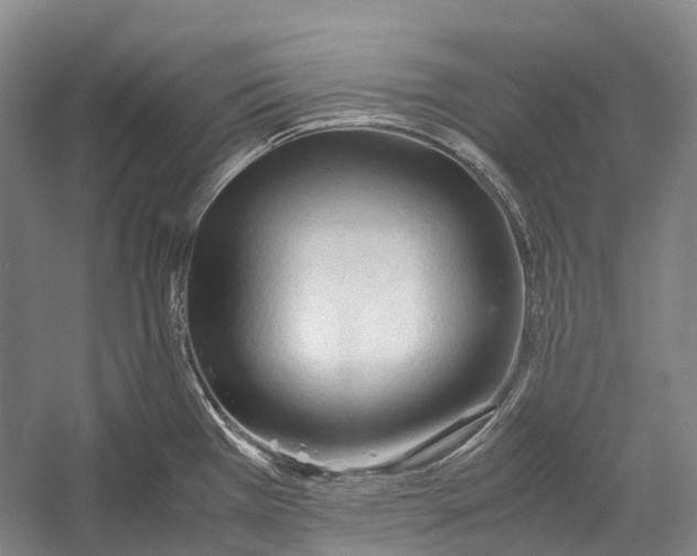 X0000052921385200508050752