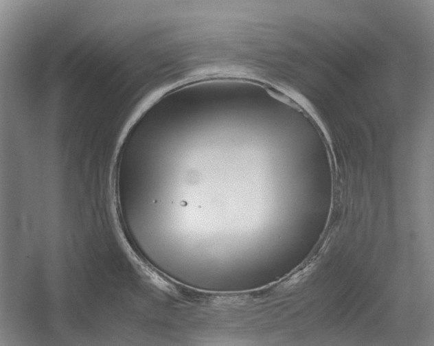 X0000052921389200508050752