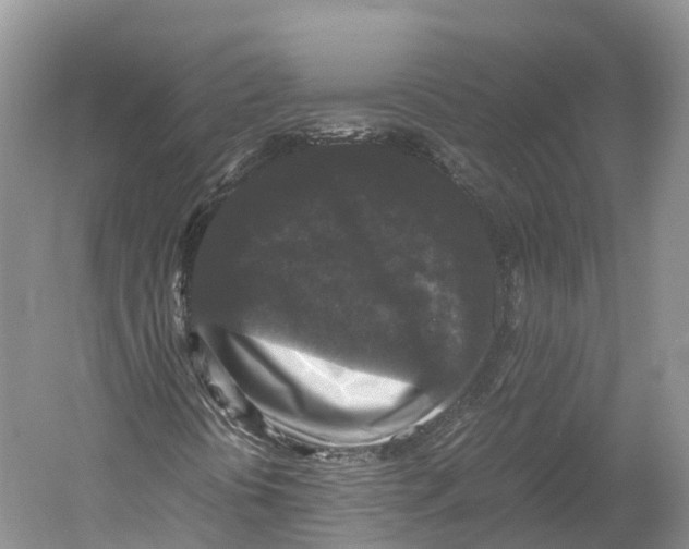 X0000052921394200508050751