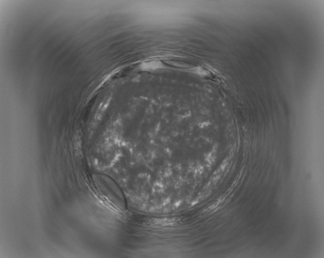X0000052921401200508050751