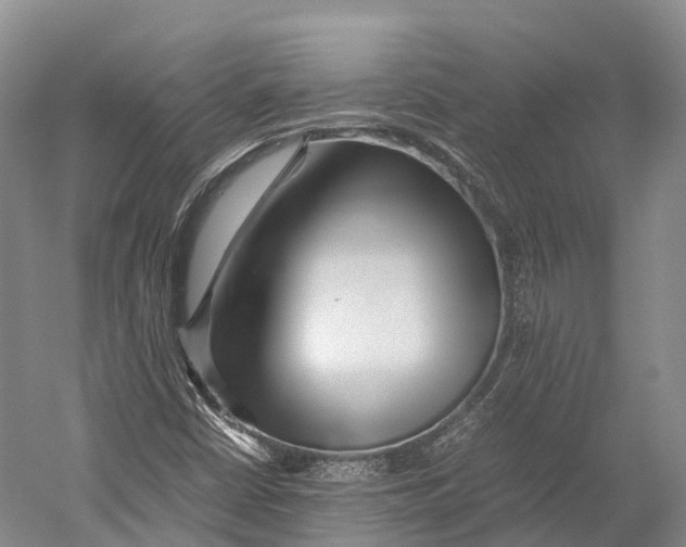 X0000052921402200508050751