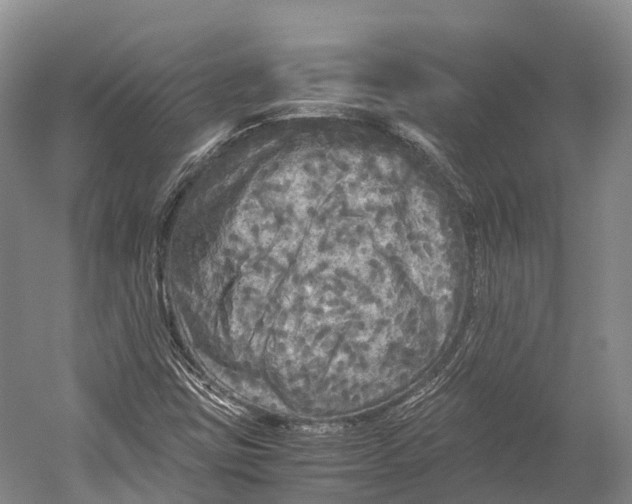 X0000052921403200508050751