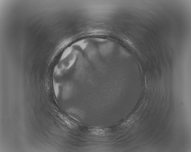 X0000052921405200508050751