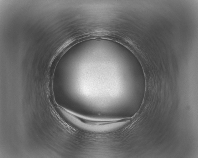 X0000052921410200508050751