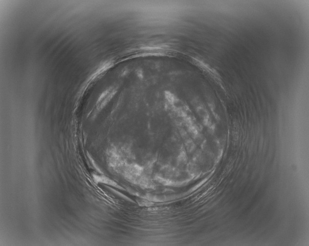 X0000052921411200508050751
