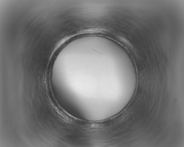 X0000052921412200508050751