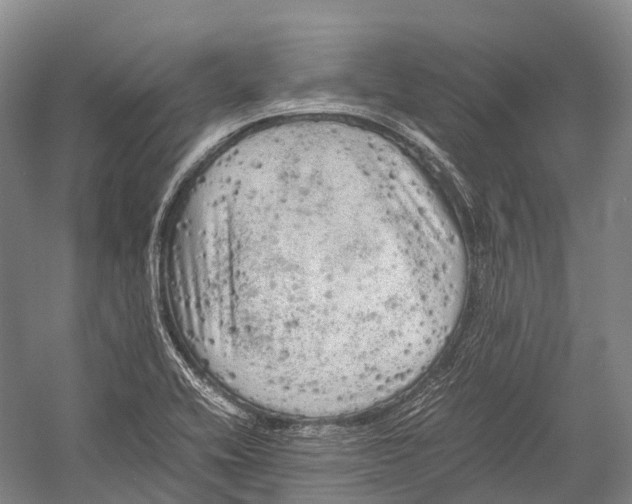 X0000052921416200508050751