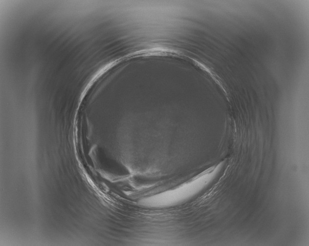 X0000052921418200508050751
