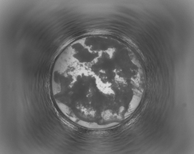 X0000052921425200508050751