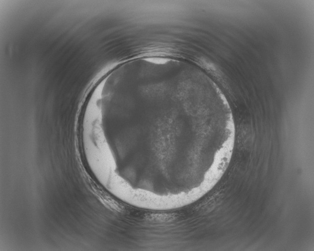 X0000052921427200508050751