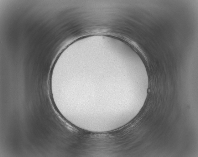 X0000052921432200508050752