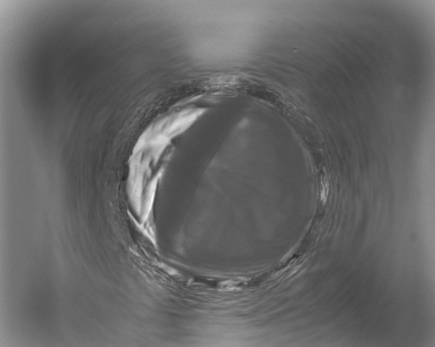 X0000052921441200508050751