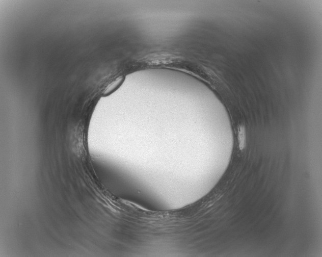 X0000052921444200508050751