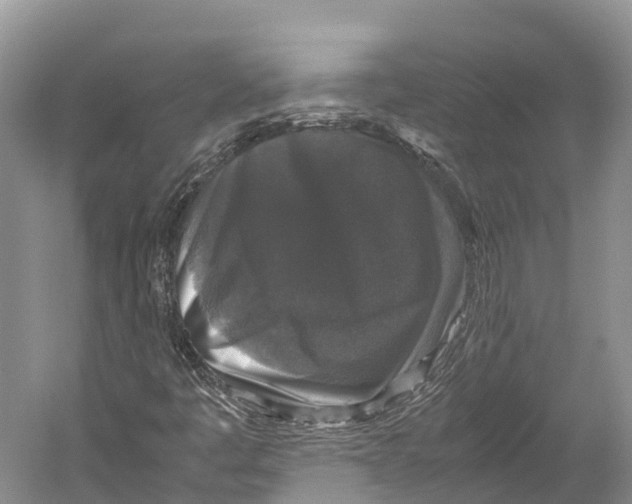X0000052921445200508050751