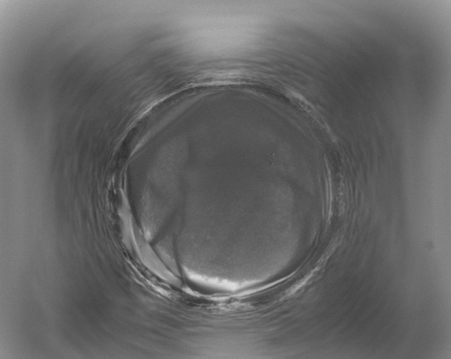 X0000052921449200508050751