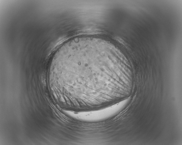 X0000052921451200508050751