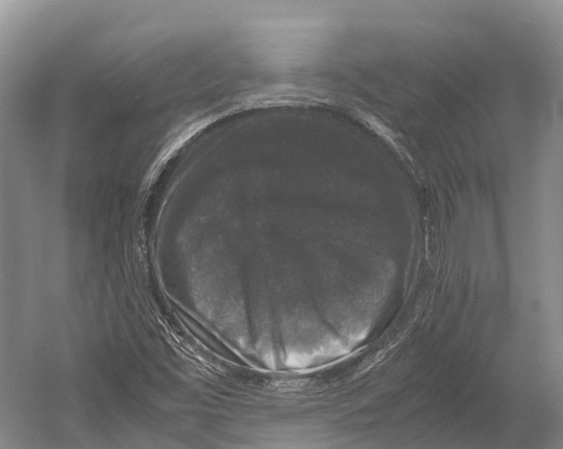 X0000052921453200508050751