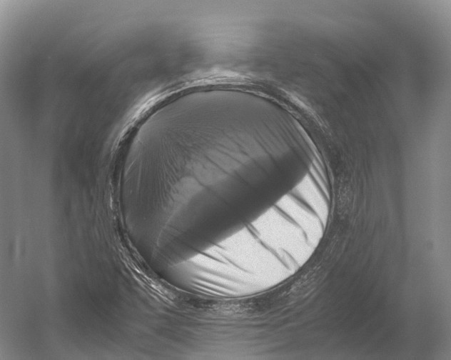 X0000052921455200508050751