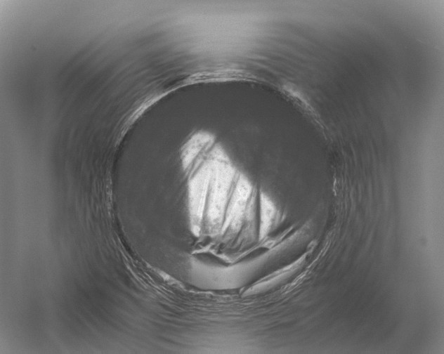 X0000052921457200508050751
