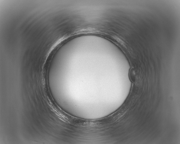 X0000052921458200508050751