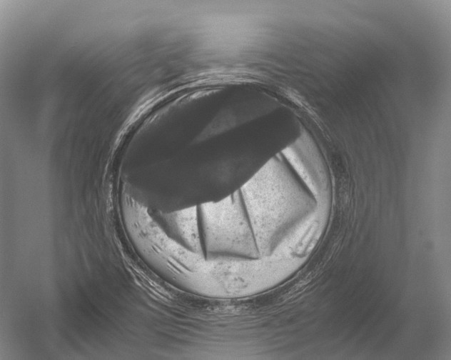X0000052921459200508050751