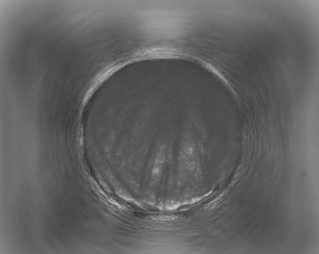 X0000052921461200508050751