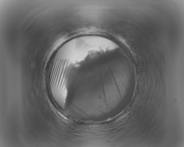 X0000052921463200508050750