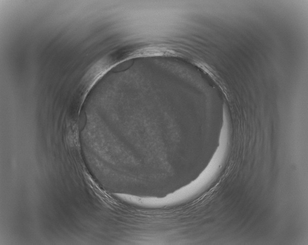 X0000052921465200508050750