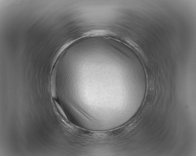 X0000052921473200508050750