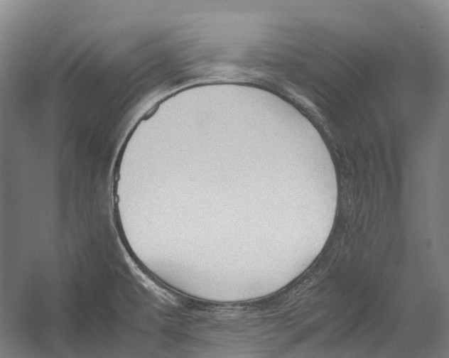 X0000052921479200508050750