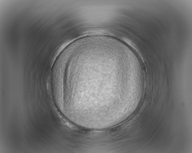 X0000052921481200508050750