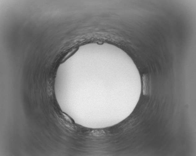 X0000052921491200508050749