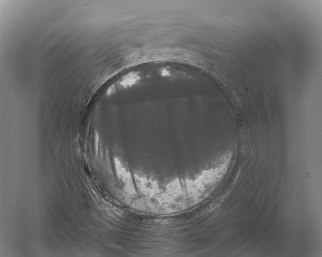 X0000052921497200508050749