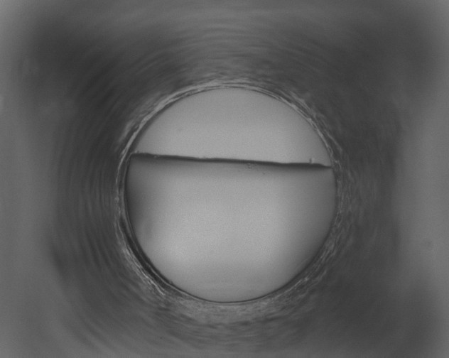 X0000052930002200507080839