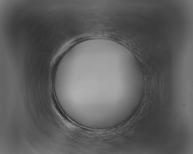 X0000052930005200507080839