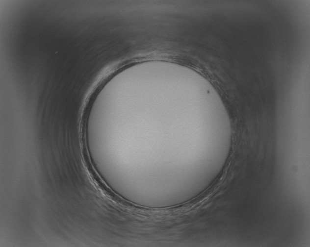 X0000052930006200507080839