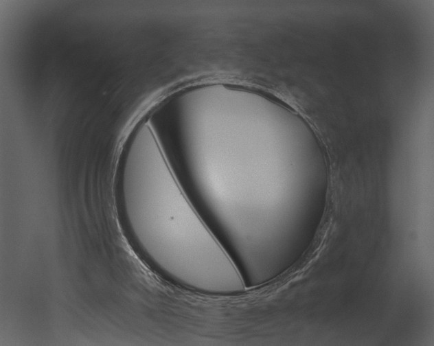 X0000052930007200507080839