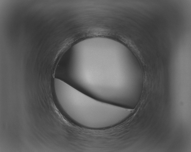 X0000052930010200507080839