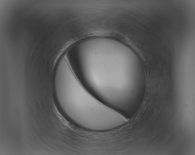 X0000052930011200507080839