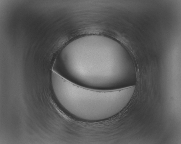 X0000052930013200507080839