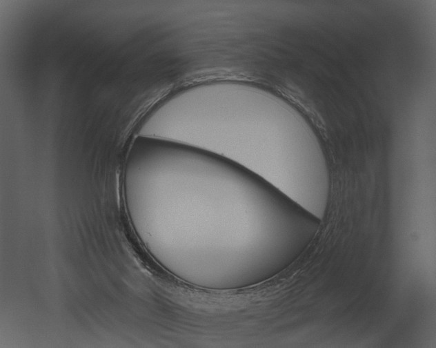 X0000052930014200507080839