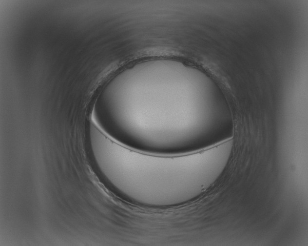 X0000052930015200507080839