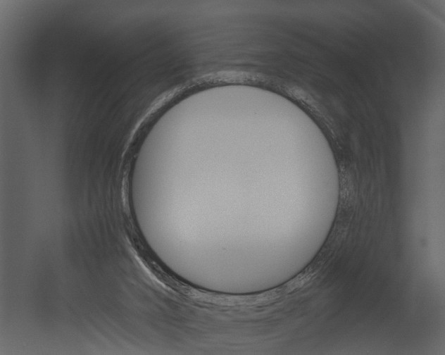 X0000052930016200507080839