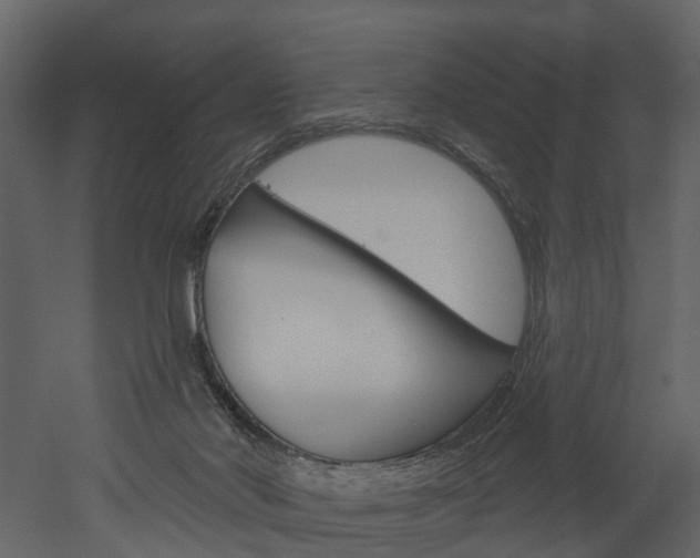 X0000052930022200507080838