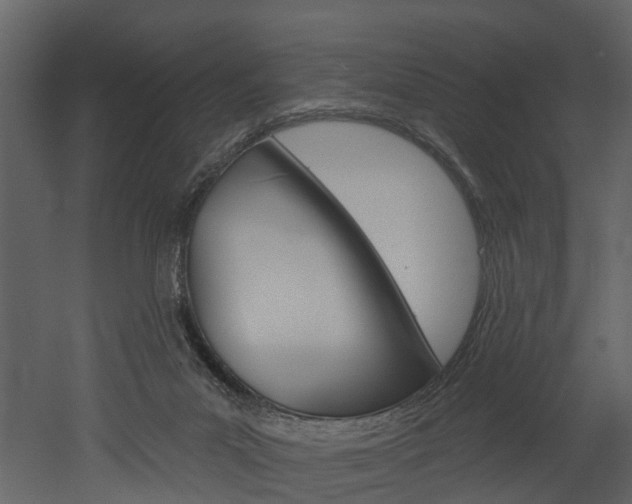 X0000052930023200507080838