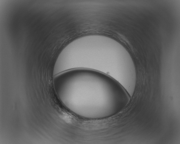 X0000052930025200507080838