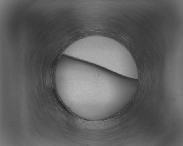 X0000052930030200507080838