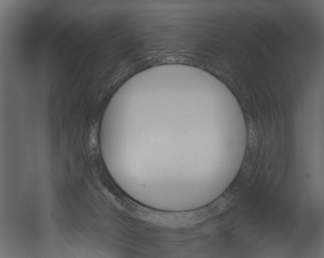 X0000052930032200507080838