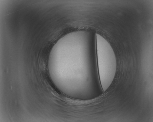 X0000052930039200507080838